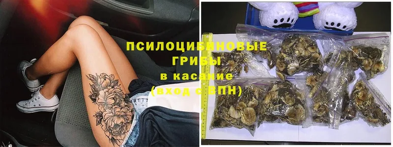 Галлюциногенные грибы Magic Shrooms  kraken маркетплейс  Уссурийск 